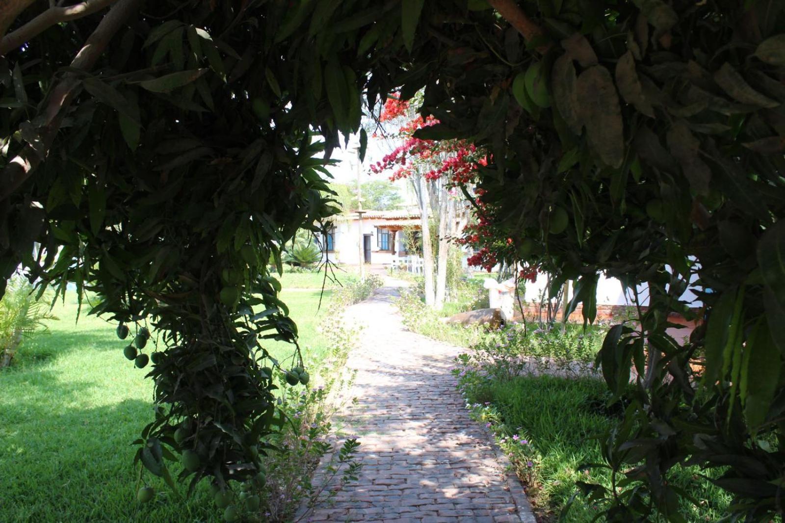 Casa Hacienda Nasca Oasis Ξενοδοχείο Νάζκα Εξωτερικό φωτογραφία