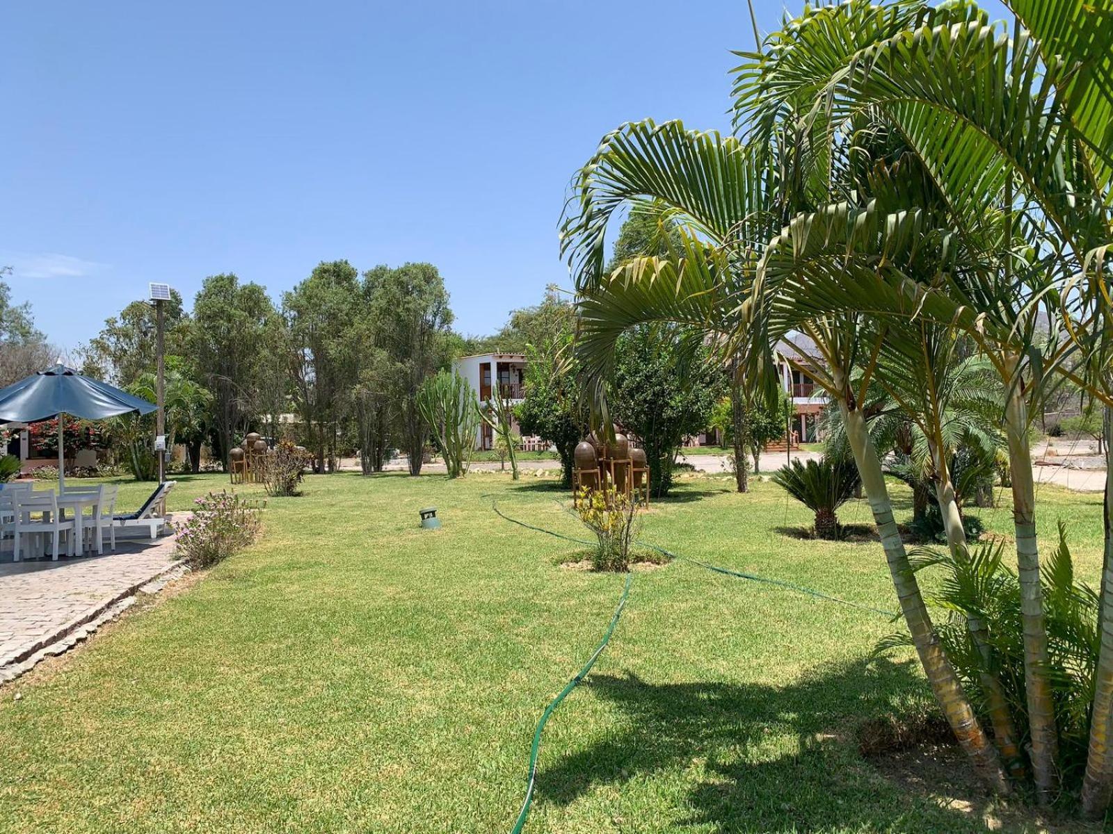 Casa Hacienda Nasca Oasis Ξενοδοχείο Νάζκα Εξωτερικό φωτογραφία