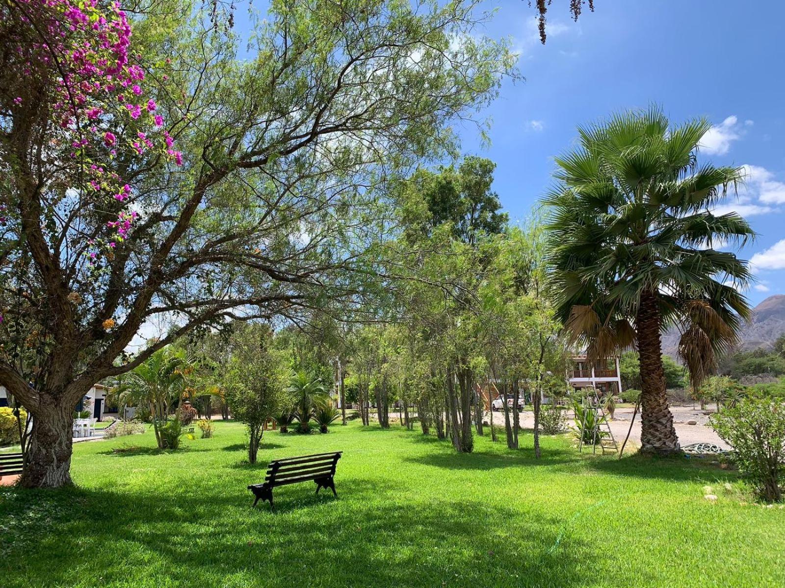 Casa Hacienda Nasca Oasis Ξενοδοχείο Νάζκα Εξωτερικό φωτογραφία