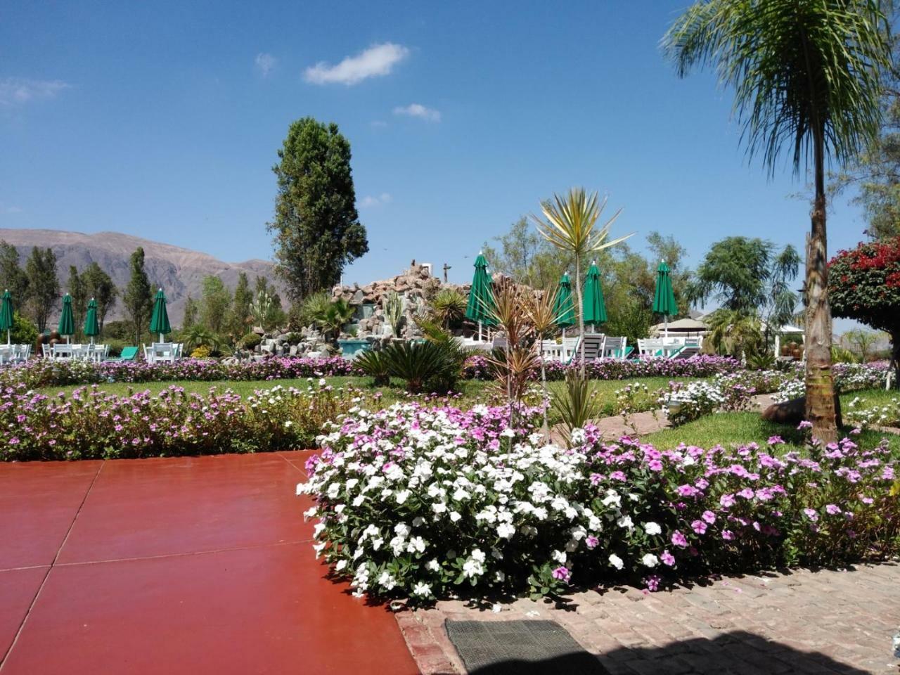 Casa Hacienda Nasca Oasis Ξενοδοχείο Νάζκα Εξωτερικό φωτογραφία