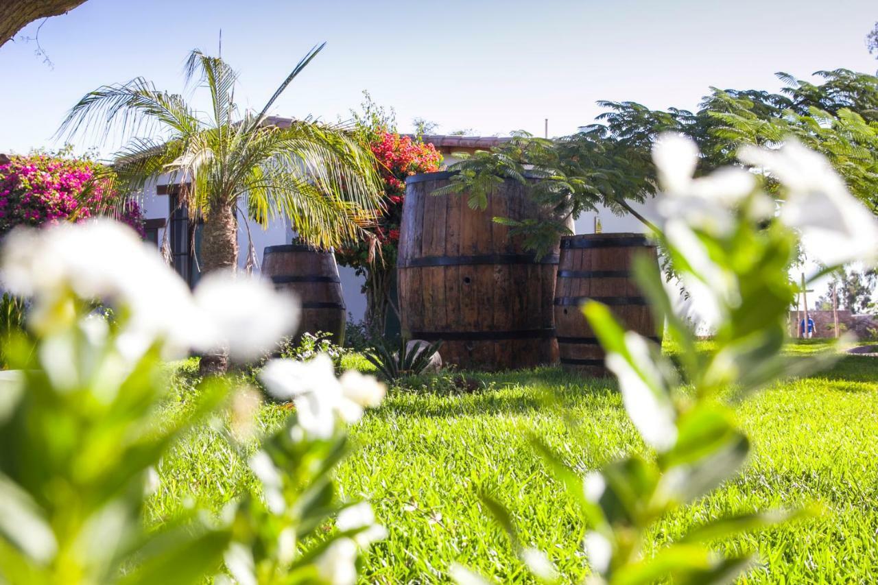 Casa Hacienda Nasca Oasis Ξενοδοχείο Νάζκα Εξωτερικό φωτογραφία