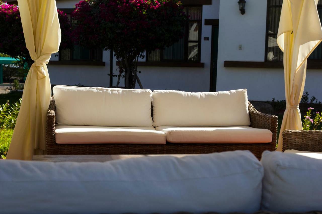Casa Hacienda Nasca Oasis Ξενοδοχείο Νάζκα Εξωτερικό φωτογραφία